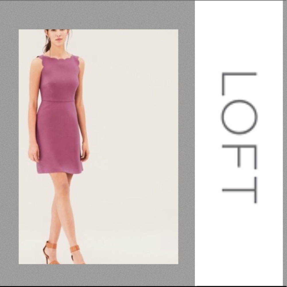 LOFT Raspberry Scalloped Edge Sheath Dress